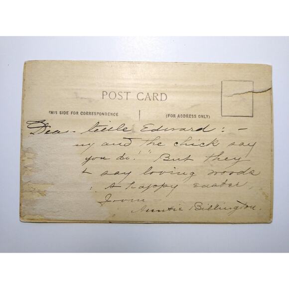 Easter Postcard Thick 3D Raised Image White Rabbit Baby Chick Airbrushed Vintage - Picture 3 of 3